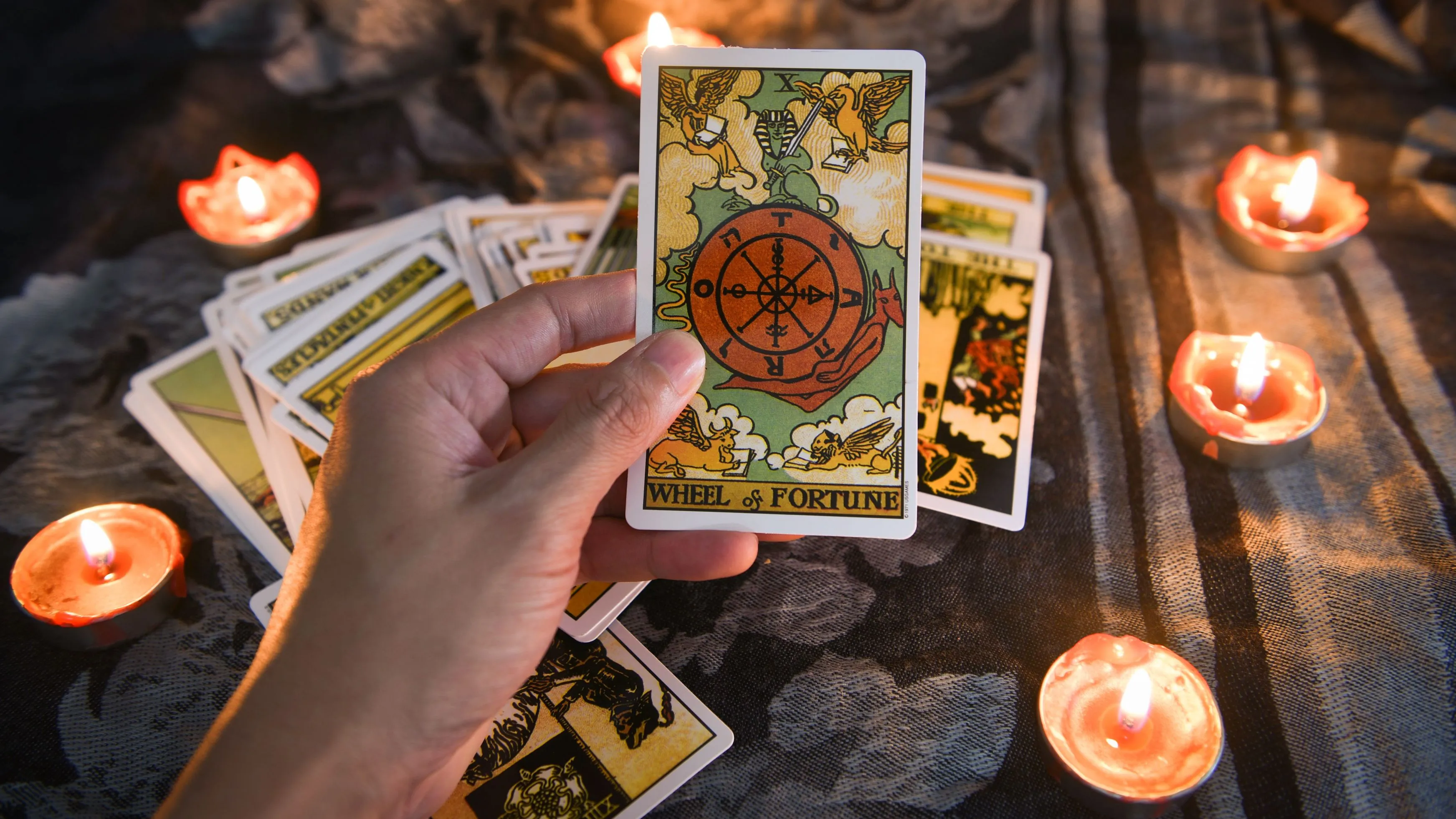 Tarot Diploma